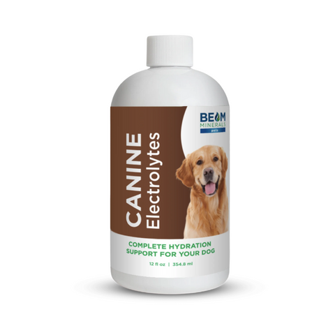 Complete Canine Electrolytes - Beam Minerals