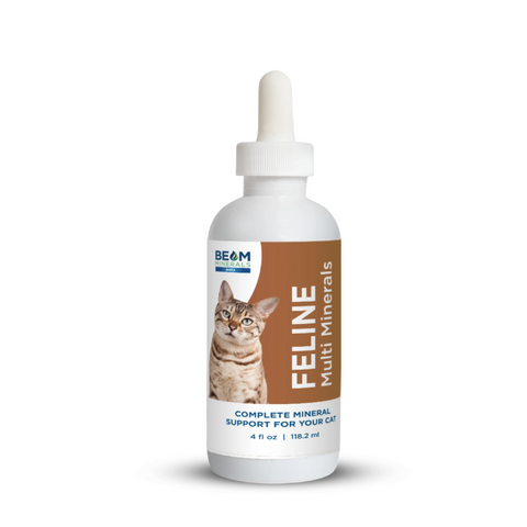 Feline Multi Minerals - Beam Minerals