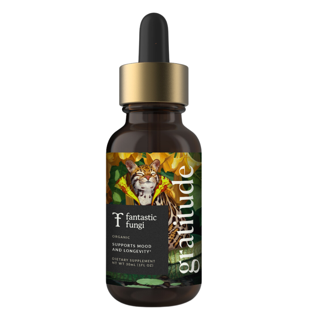 Gratitude Elixir
