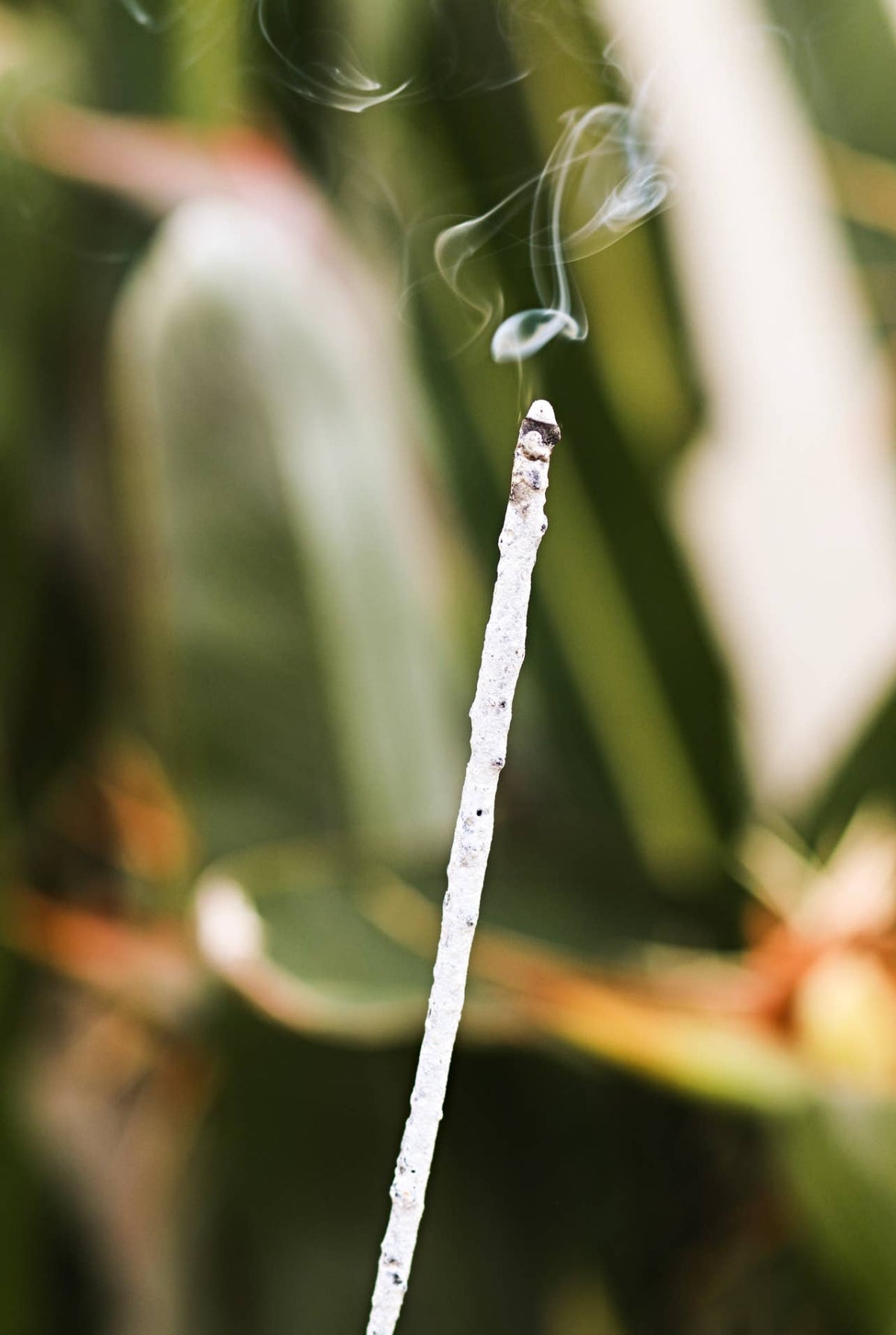 Pure White Mayan Copal Incense (Hand Rolled in Tulum).