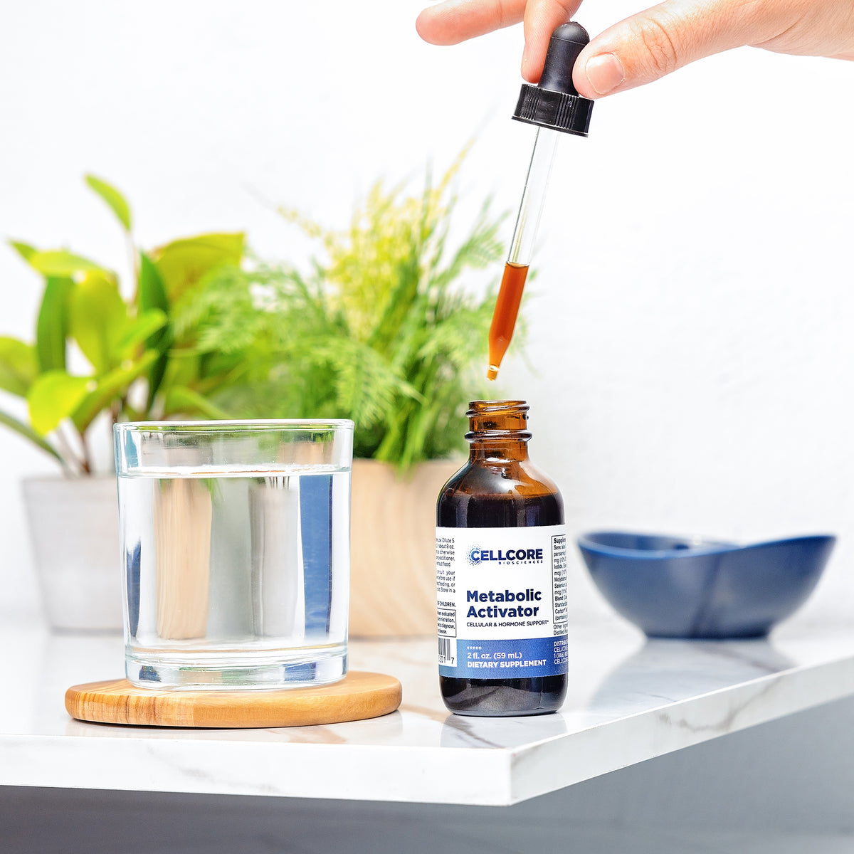 Metabolic Activator - Cellcore