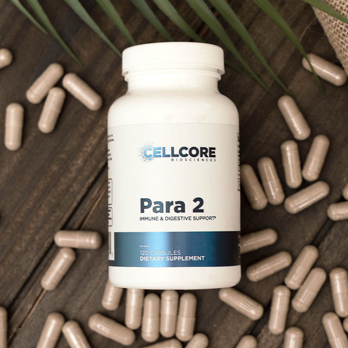 Para 2 - Cellcore