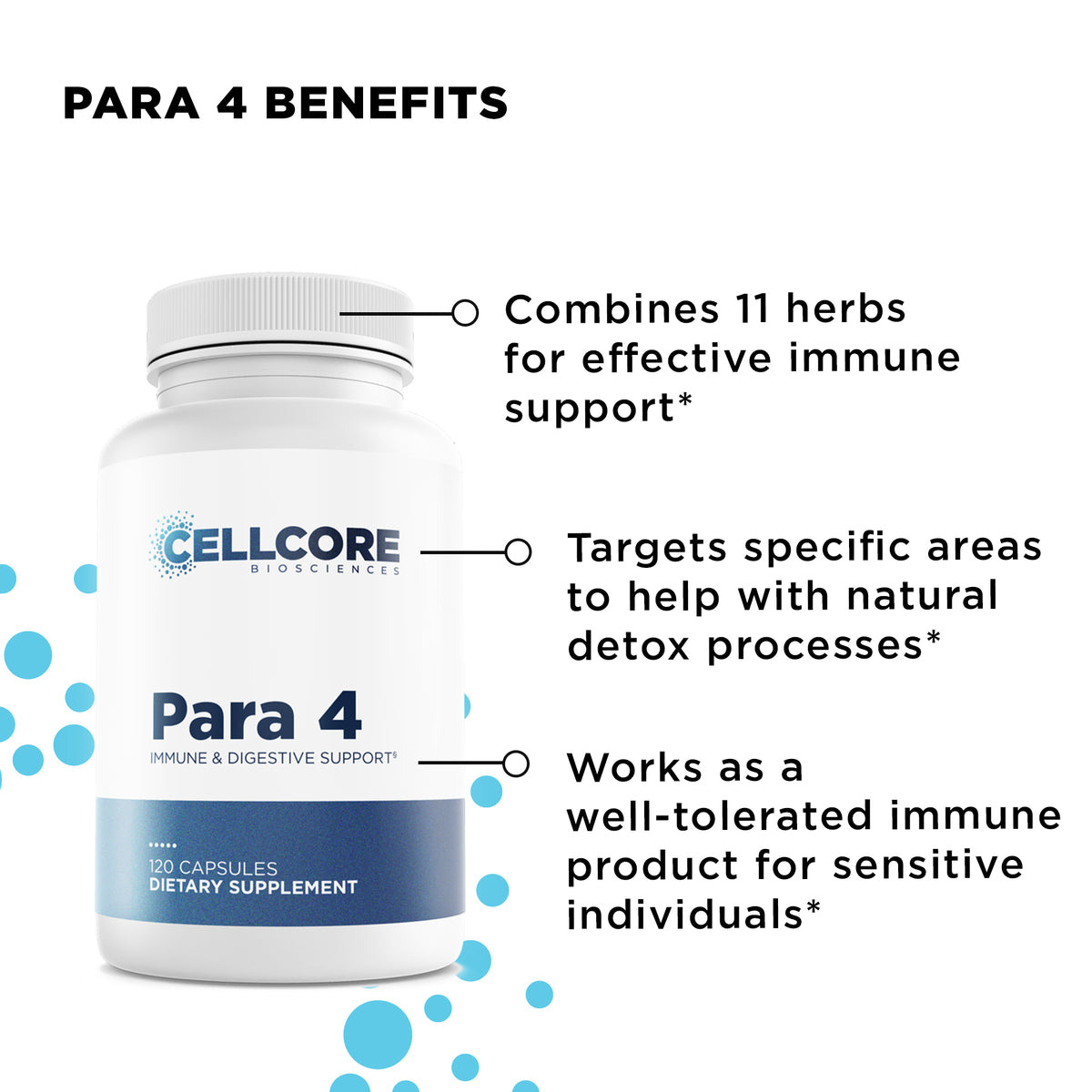 Stomach Support Kit - Cellcore