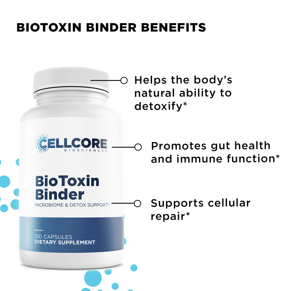 Stomach Support Kit - Cellcore