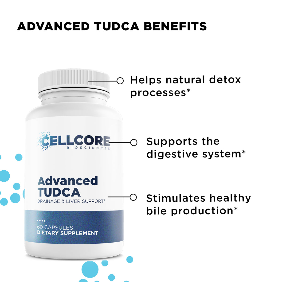 Stomach Support Kit - Cellcore