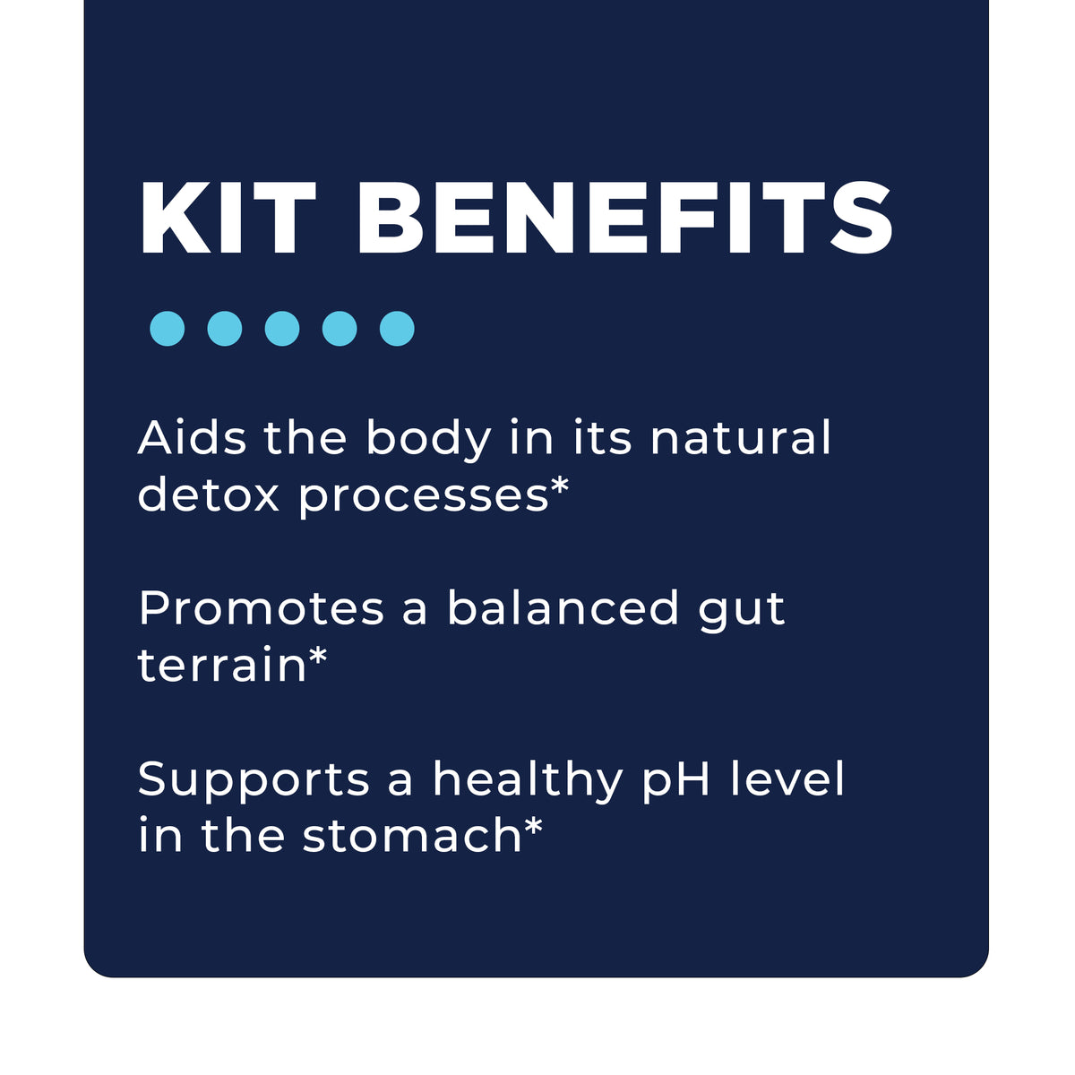 Stomach Support Kit - Cellcore